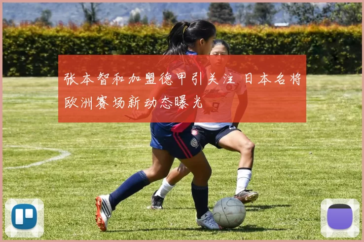 张本智和加盟德甲引关注 日本名将欧洲赛场新动态曝光