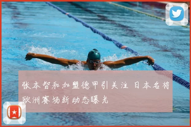 张本智和加盟德甲引关注 日本名将欧洲赛场新动态曝光