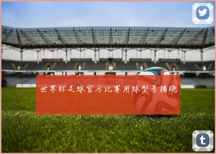 世界杯足球官方比赛用球型号揭晓