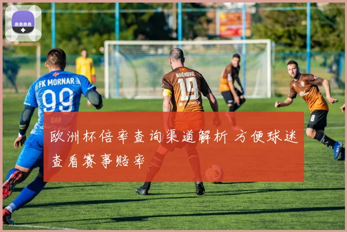 欧洲杯倍率查询渠道解析 方便球迷查看赛事赔率