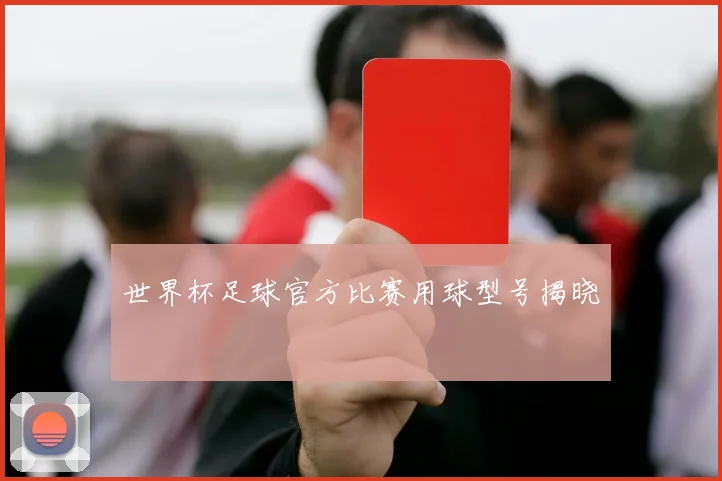 世界杯足球官方比赛用球型号揭晓