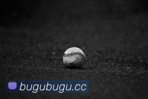 爱体育(中国)官方网站 - 登录入口平台生态图